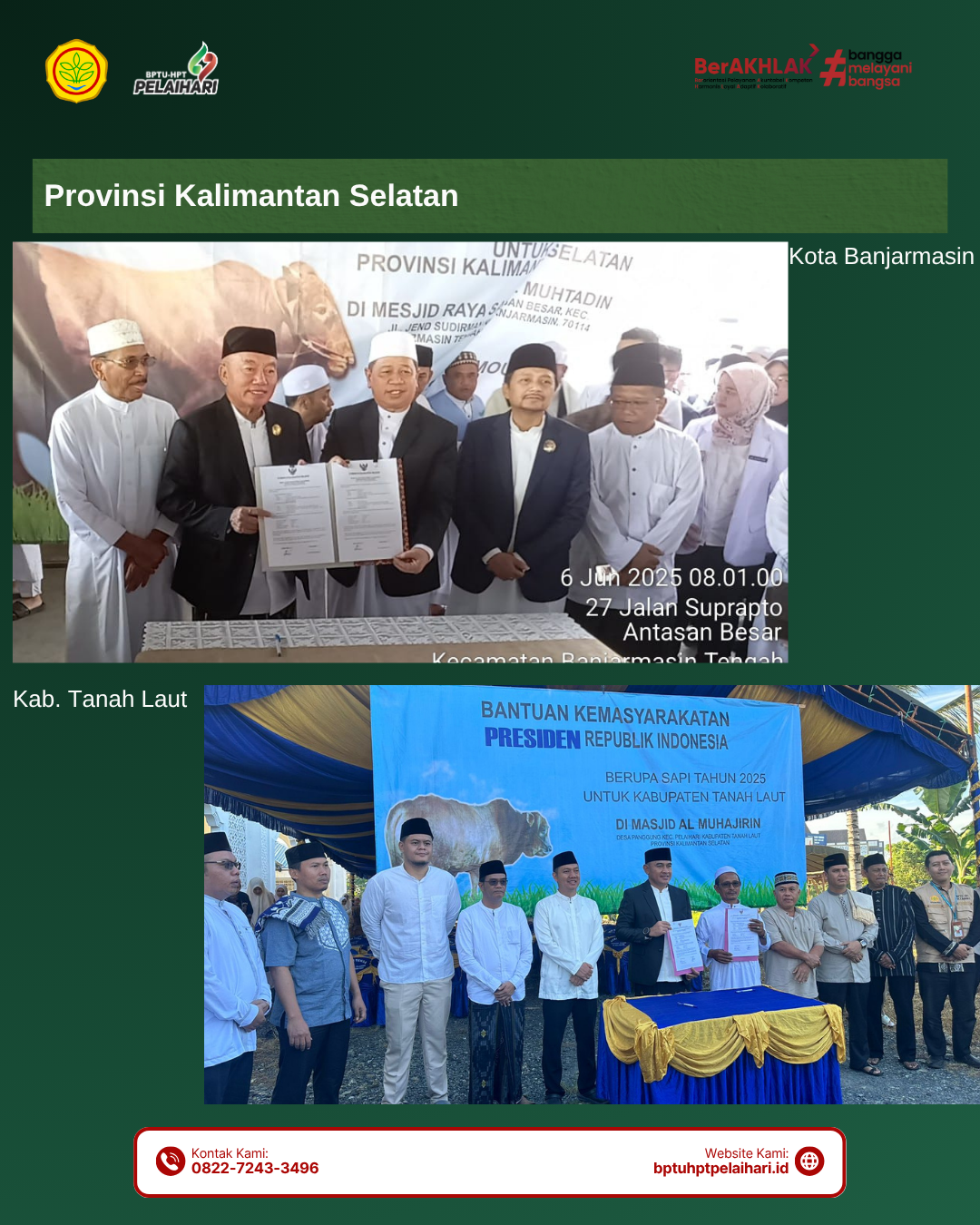 Bantuan Sapi Presiden RI